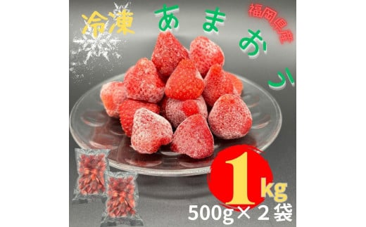 【福岡スイーツ自然の贈り物】かわいい化粧箱入り！福岡県産冷凍あまおう合計1kg(500g×2袋)