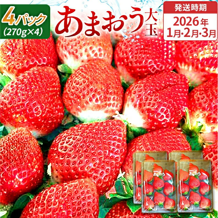 【ふるさと納税】期間限定 いちご あまおう 苺 イチゴ 1kg あまおう（大玉）、4パック（270g/パック） 【2026年1月〜3月順次発送】 フルーツ 果物 くだもの 大玉 ※北海道・沖縄・離島は配送不可 大木町産 おおきベリー CT004