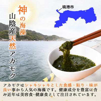 ふるさと納税 境港市 神の海藻パスタ (冷凍パスタ・パスタソース×4食) |  | 02