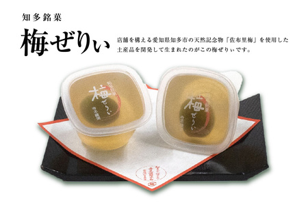 知多銘菓　梅ぜりぃ　6ヶ入 和風ゼリー うめ ウメ 梅の菓子 梅ゼリー フルーツゼリー 和菓子 梅肉 佐布里梅 おやつ スイーツ デザート ご褒美 グルメ 食べ物 お土産 手土産 土産 ご当地 国産 