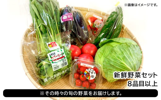 ※その時々の旬の野菜をお届けします。