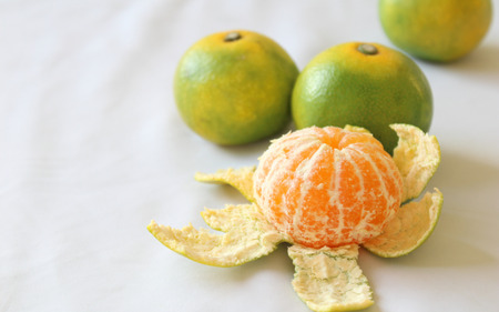 ＼光センサー選別／ 【先行予約】＼数量限定／ 希少品種 ご家庭用 ゆら早生みかん 約7kgサイズ混合【2025年10月上旬頃より順次発送】/ みかん ミカン 和歌山県 柑橘 早生 甘い 蜜柑 フルーツ