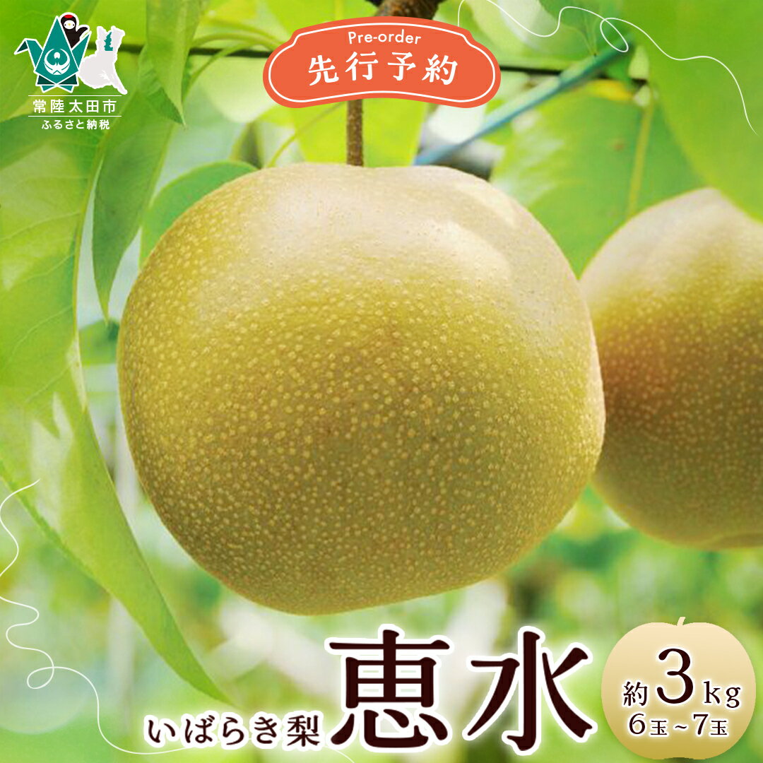 【ふるさと納税】《先行予約 2025年》 梨 恵水 選べる内容量 約3kg 6玉～7玉 約5kg 9～12玉 | 茨城県 常陸太田市 梨 和梨 フルーツ オリジナル品種 恵水 大玉 甘み 糖度 食べ応え 食感 しゃりしゃり 美味しい みずみずしい 果汁 風味 デザート 限定 お取り寄せ