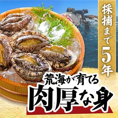 【先行予約】三陸重茂産　天然 蝦夷あわび(2号品) 1kg(冷凍)【配送不可地域：離島】