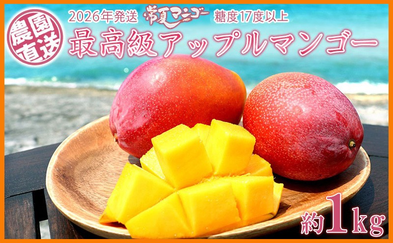 
                  【2026年発送】最高級　常夏アップルマンゴー！糖度17度以上　約1kg農園から直送 最高級 先行予約 沖縄 甘味 糖度 濃厚 美味しい お土産 おいしい ギフト とろける甘さ 香り アーウィン 果汁 プレミアム 箱入り 化粧箱入り 見た目 きれい 綺麗
                