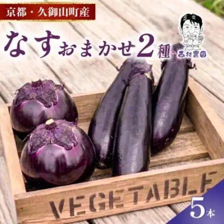 なす2種類おまかせ5本!(賀茂なす・水なす・フルーツなす・千両なす・ふわとろ長なす)【1733733】