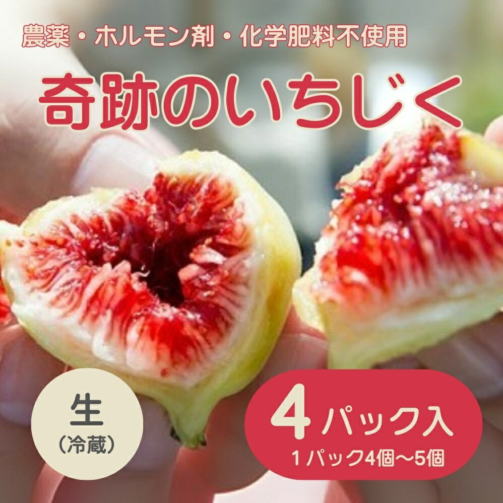 【ふるさと納税】（冷蔵）農薬不使用、化学肥料不使用、ホルモン剤不使用の「奇跡の無花果」1380 ／ 新井農園 いちじく 静岡県 東伊豆町