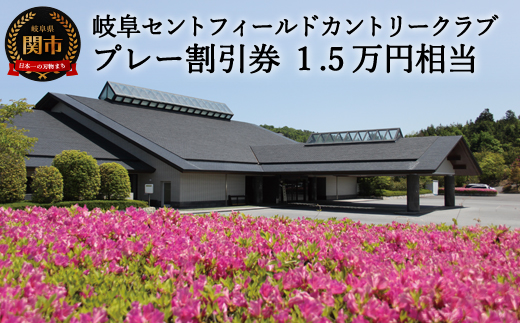 プレー割引券×15枚（岐阜セントフィールド）