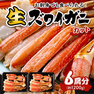 ふるさと納税 京丹後市 【生食可・蟹しゃぶ】高鮮度!お刺身でも食べられる!カット生ズワイガニ6肩分　冷凍 | 