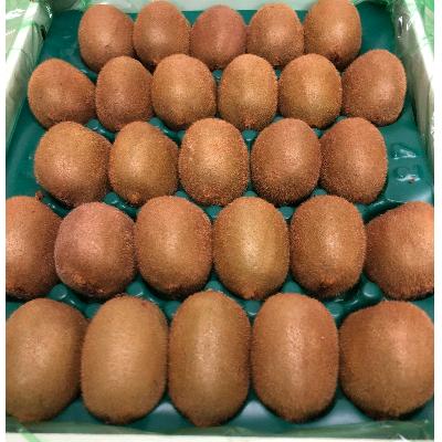 ふるさと納税 三豊市 【先行受付2027年】曽根農園のヘイワードキウイ(3kg　24〜33玉入り)