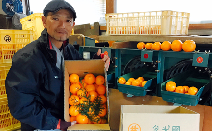 こたつみかん　約10kg（サイズいろいろ・ワケあり品）【配達不可地域あり】