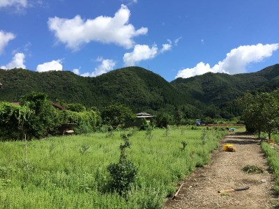 GE-05　無農薬ハーブ園から採取した超希少な日本ミツバチの蜂蜜