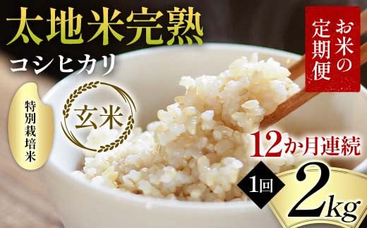お米の定期便 特別栽培米 太地米完熟 【こしひかり】 玄米2kg×12か月連続 ブランド米 お米 人気 F7X-0371