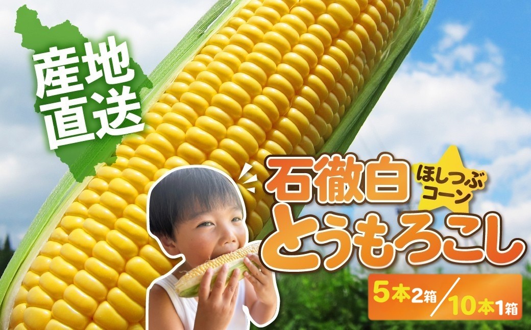 
            先行予約《数量限定・期間限定》いとしろトウモロコシ 10本入 1箱 / 5本入 2箱 とうもろこし 大粒 甘い おいしい ほしつぶ コーン 野菜 やさい 旬 夏 BBQ 焼肉 10000円 1万円 [G0001 G0002]
          