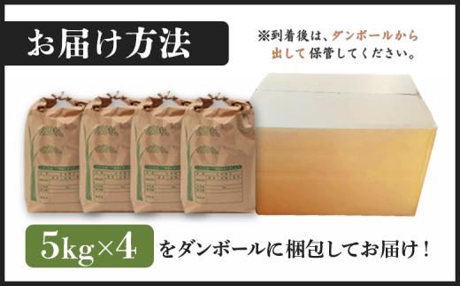 【新米予約】 2026年産 ゆめぴりか 20kg（5kg×4袋）