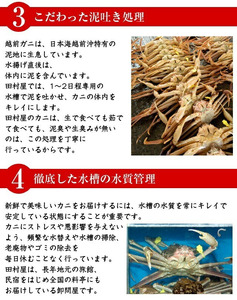 【先行予約】【蟹問屋 越前田村屋 究極の逸品】越前がに (セイコ）甲羅盛　6個セット［D-029017］