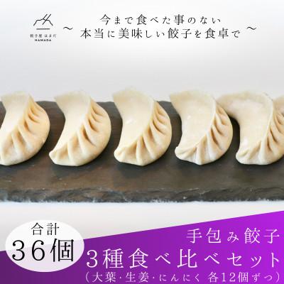 ふるさと納税 草津市 手包み餃子3種セットSパック　合計36個