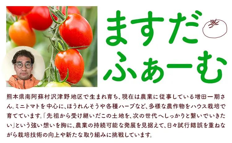 ミニトマト アイコ 約3kg ますだふぁーむ《7月上旬-11月末頃出荷》熊本県 南阿蘇村 アイコトマト 野菜 旬 夏野菜 トマト