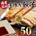 【ふるさと納税】国産豚肉使用！手作り餃子50個セット(10個×5パック） 餃子 ぎょうざ 豚肉 国産 手づくり 小分け 冷凍 おかず おつまみ 晩御飯 晩酌 【スーパーよしだ】