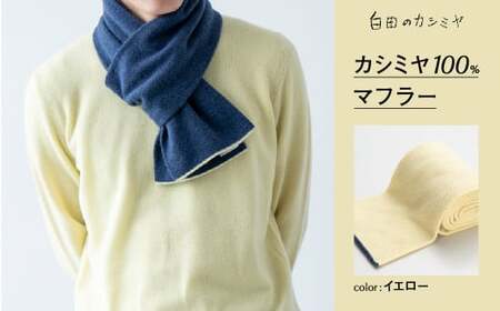 カシミヤ マフラー カシミヤ （L.イエロー）≪白田のカシミヤ≫
