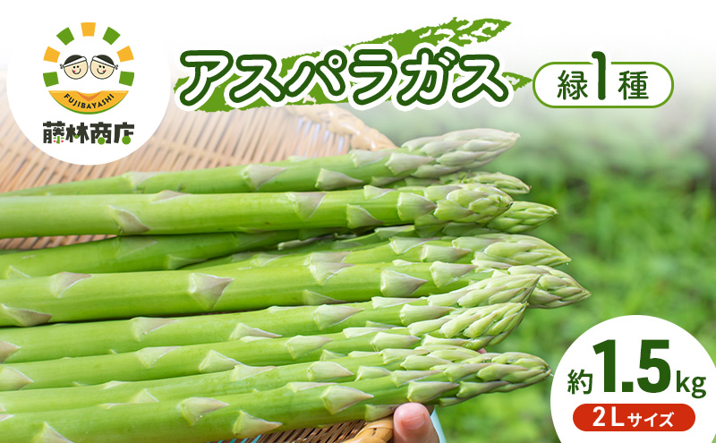 【2026年春発送】数量限定 グリーンアスパラガス 2Lサイズ 約1.5kg 野菜 アスパラ アスパラガス 新鮮 北海道 富良野