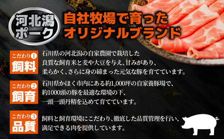 河北潟ポーク 生姜焼き & テキカツセット 約1kg | 豚肉 ブランド豚