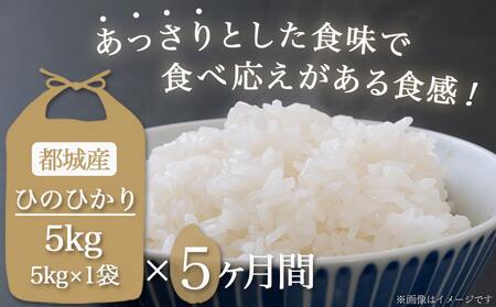 都城産ひのひかり5kg定期便(5ヶ月)_T70-5-0401_(都城市) ひのひかり 都城産 都城産ひのひかり5kg×1袋 お米 おこめ 毎月5回お届け