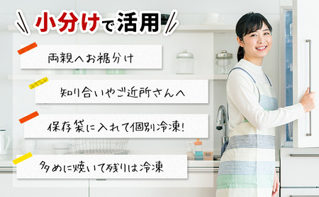 【訳あり】勝浦市の人気の海鮮お礼品 無添加 塩サバ 3kg【配送不可地域：離島】【1240161】
