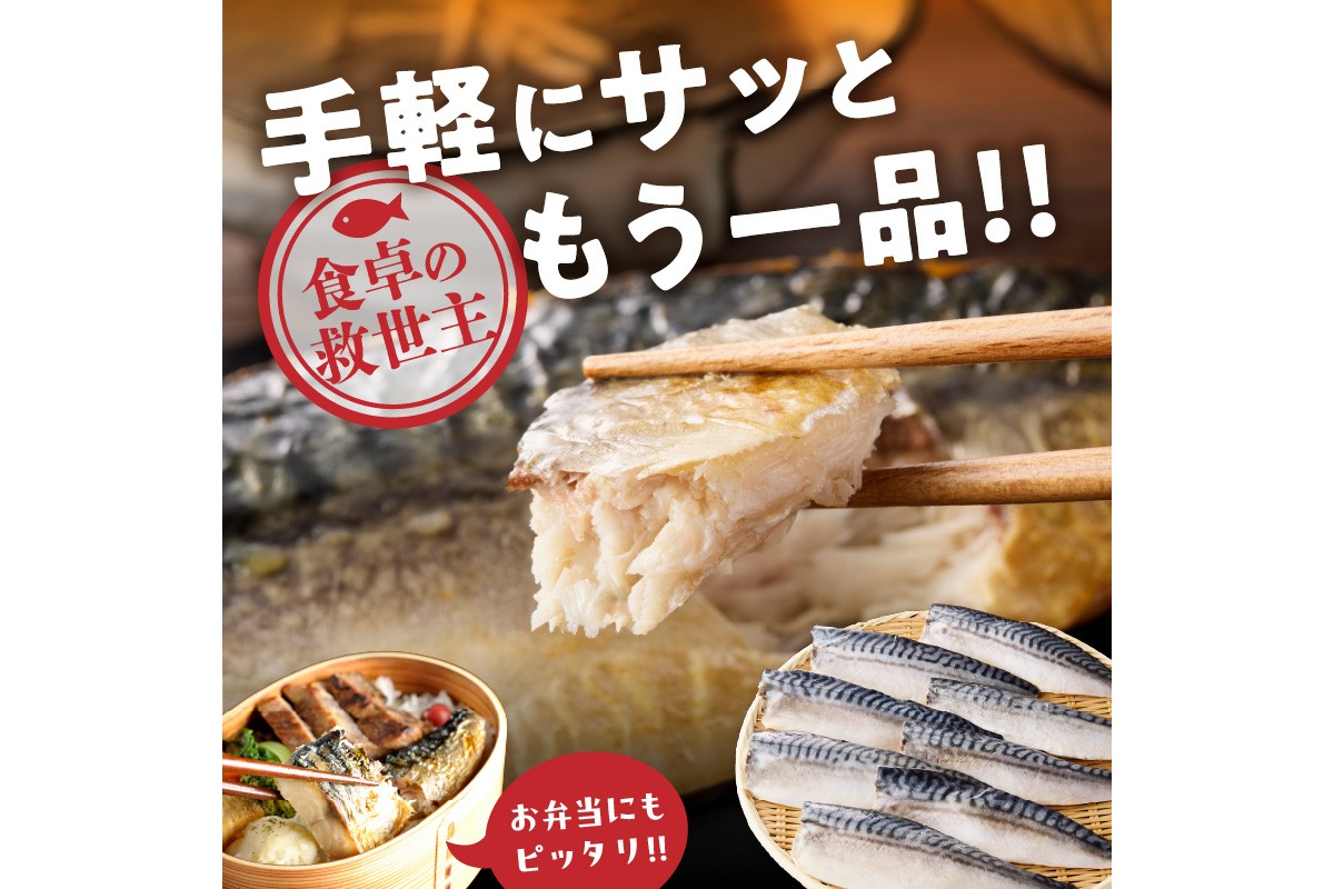 【E-104】【骨取り】さば使用 塩さば(昆布塩味) 20枚入