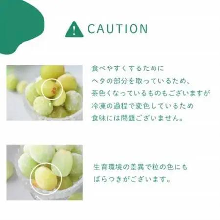 冷凍シャインマスカット 『甲斐の実』 山梨県産ぶどう【配送不可地域：離島】【1502620】