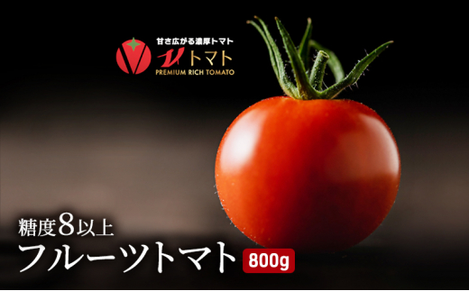 
トマト800g 糖度8度以上 Vトマト 期間限定 フルーツトマト ミニトマト とまと 甘い 野菜 人気 リコピン 贈答 ギフト プレゼント 美味しい お取り寄せ 完熟 プチ おすそ分け 美容 健康
