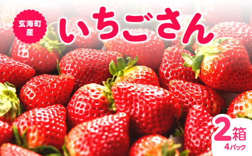 ★予約受付★平川いちご農園 佐賀県玄海町産「いちごさんDX」2026年1月～4月までに順次配送