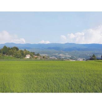 2024年産新米【南信州高森産】コシヒカリ玄米10kg
