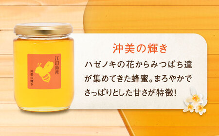 【全12回定期便】まじりっけなし！江田島産100％!はちみつ『沖美の輝き』300g×2本 ハチミツ ハニー 蜂蜜 国産 広島 江田島市/はつはな果蜂園[XCD026]