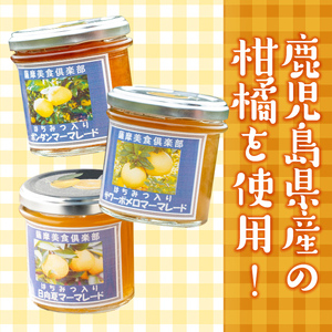 isa555 3種の柑橘ジャム食べ比べセットA(計6個・ボンタン、サワーポメロ、日向夏 各140g) 加工食品 果物 フルーツ 詰め合わせ 果肉 柑橘 低糖 ハンドメイド ジャム ギフト マーマレード