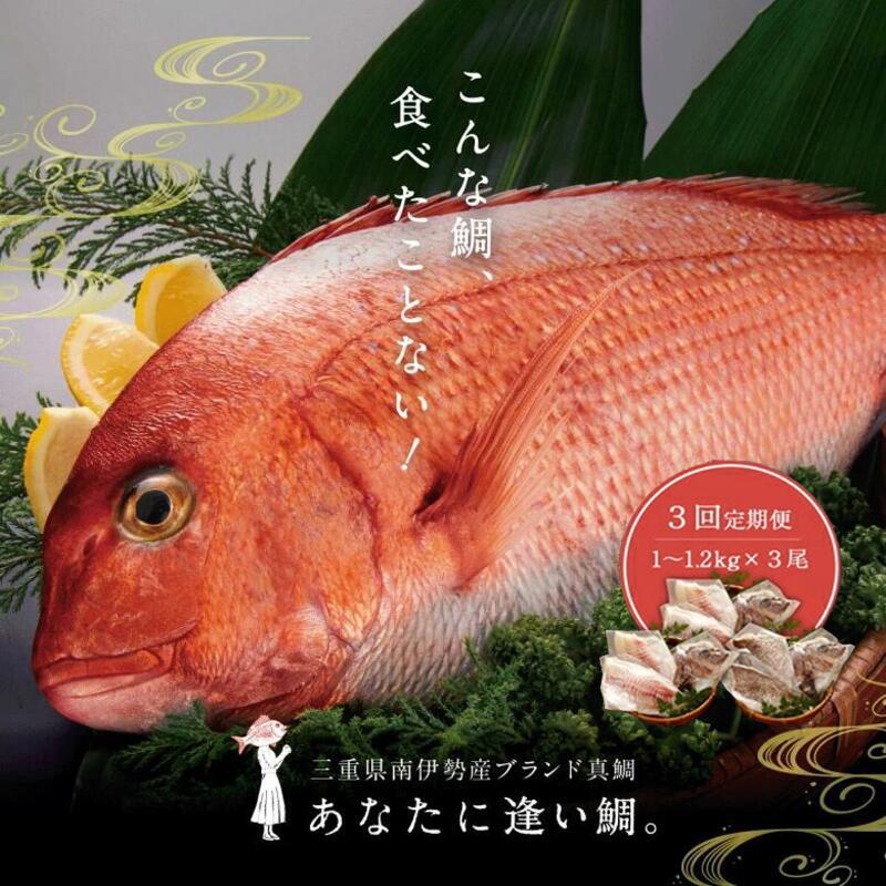 【ふるさと納税】 定期便 （冷蔵）じゅわ～っと甘み溢れるブランド真鯛1～1.2kgを3回お届け！ 食べ比べ 皮あり スキンレス 4ヶ月に1回 ／ はさま あなたに逢い鯛。 鯛 真鯛 刺身 湯引き 南伊勢町 伊勢志摩