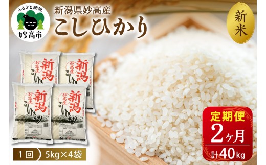 【2026年11月下旬発送】【定期便】令和8年産 新潟県妙高産コシヒカリ20kg(5kg×4袋)×2回（計40kg）