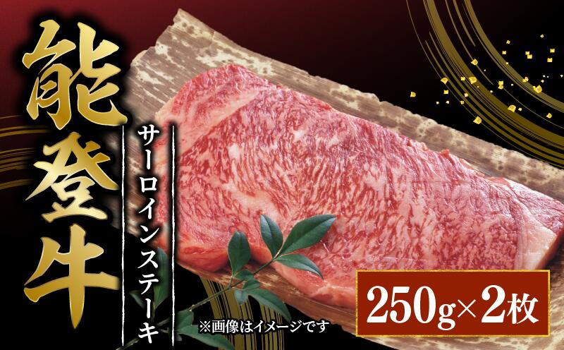 【ふるさと納税】 黒毛和牛 サーロインステーキ 250g × 2 能登牛 とろける 食感 ブランド 和牛 ブランド牛 うし にく ご褒美 お祝い 記念 贅沢 国産 肉 ステーキ サーロイン 冷凍 石川 羽咋 能登 のと 国産 能登半島 牛 牛肉 災害 支援 復興支援 災害支援 支援 肉乃北安江