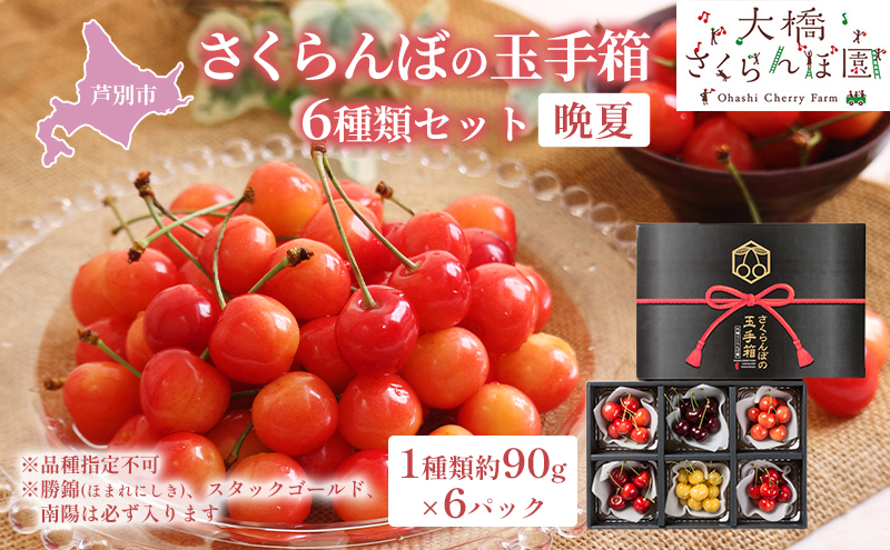 【 先行受付 】さくらんぼ さくらんぼの玉手箱 6種類セット