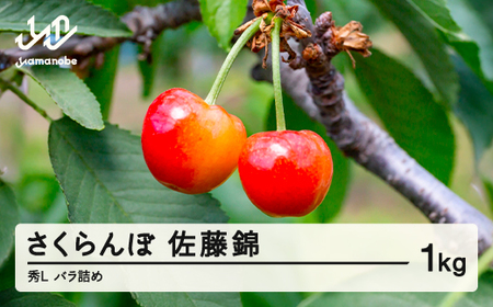 先行予約 さくらんぼ 佐藤錦 秀 L 1kg バラ詰め 令和7年産 2025年産 山形県山辺町産 フルーツ 果物 sa-snbsl1000
