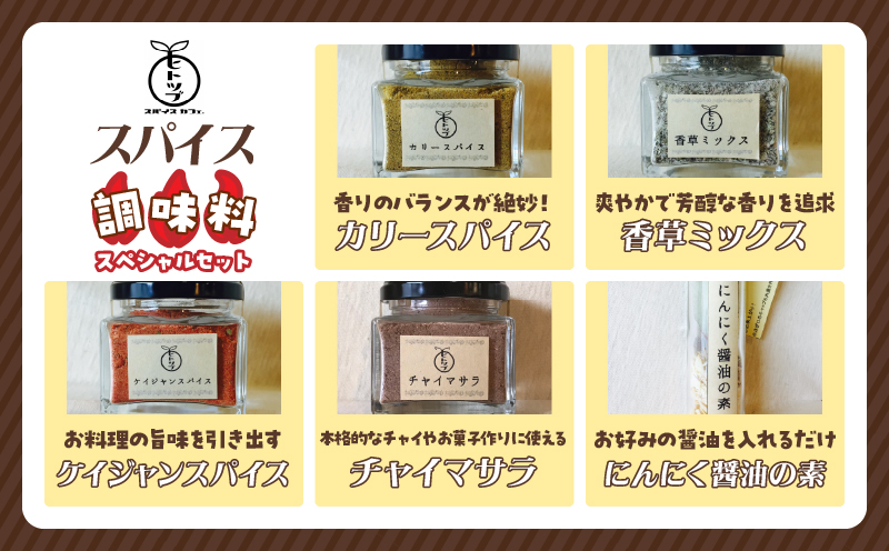ヒトツブ特製 スパイス 調味料 スペシャル セット 香辛料 カリースパイス 香草ミックス ケイジャンスパイス チャイマサラ にんにく醤油の素 カレーライス 加工品 特製ブレンド おすすめ ギフト 贈り