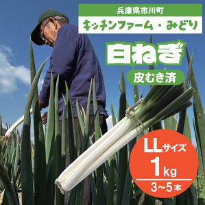 キッチンファームみどりの白ねぎ LLサイズ 1kg （皮むき済み） 006KM01N.／ねぎ ネギ 白ネギ 白ねぎ