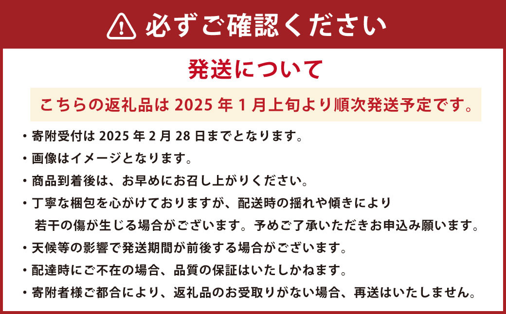 吉次 いちご 約700g (24~33粒) 