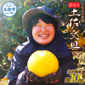 【先行予約】土佐水谷農園の露地土佐文旦 家庭用（L～上限なし）約10kg（16玉前後） 高知県土佐市 【土佐水谷農園】 [BQBD004]