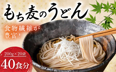 うどん もち麦のうどん 200g×20袋 40食分 うどん BJAY001
