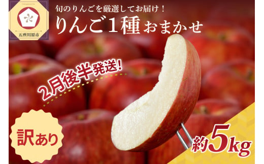 【2024年2月後半発送】 【訳あり】 りんご 青森産 約5kg 品種おまかせ1種