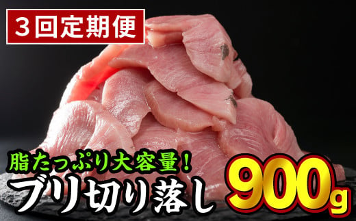 
            年内発送 12月末までにお届け 【定期便3回】  生食用 ブリ 切り落し 大満足900gセット（150g × 6パック） 小分け ブランド ぶり 鰤 ブリ ぶりしゃぶ しゃぶしゃぶ 魚 切り身 真空 人気 ランキング 高級 大満足 美味しい 贈答 生食用 刺身 お刺身 刺し身 魚介類 海鮮 冷凍 厚切り 薄切り ふるさと納税 ふるさとチョイス 三重県 尾鷲市 OB-31
          