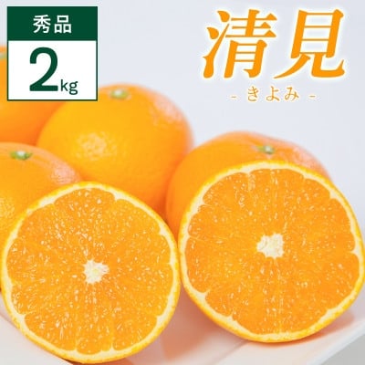 
                  清見 2kg 愛媛県 八幡浜市 西宇和地区 柔らかい果肉＜C25-351＞【1716856】
                