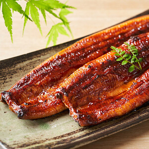 ふっくら大判うなぎ蒲焼　計約640ｇ（約320g×2尾）