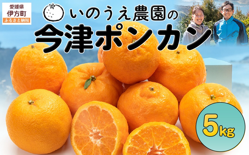 【先行予約】いのうえ農園の今津ポンカン 5kg ※離島への配送不可（2027年2月上旬より順次発送） IKTAI004